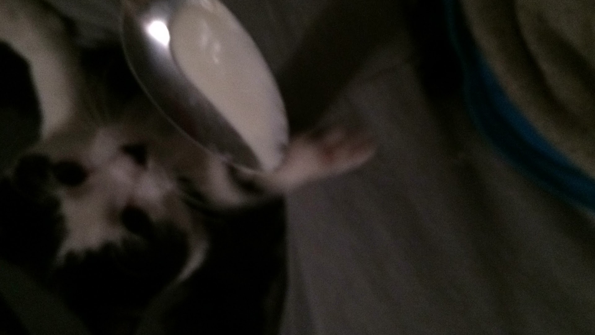 Cat image 10