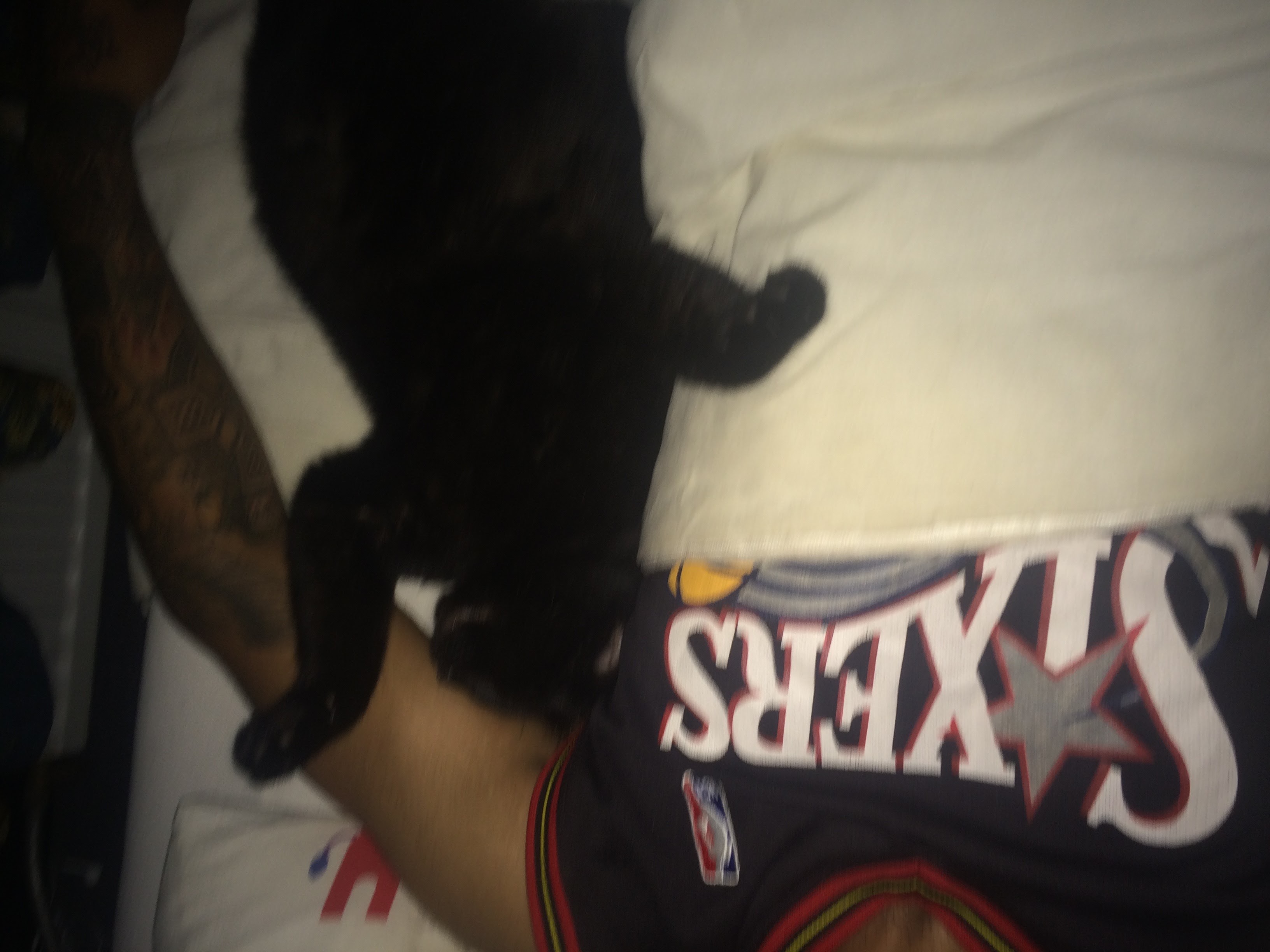 Cat image 9